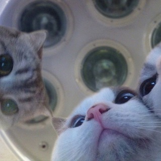 Логотип @ximbioruss - СТОБАЛЛЬНИКИ