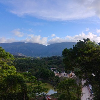 Логотип @xincamon - Синкамон 🇻🇳