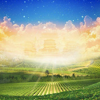 Логотип @xinjiayuan - 我们的家园※华人资讯互动交流中心