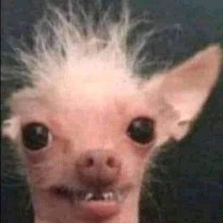 Логотип @xipchi - xɪᴘᴄʜɪ |общение|