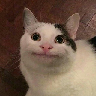 Логотип @xkova - Нытьё дизайнера ☕️