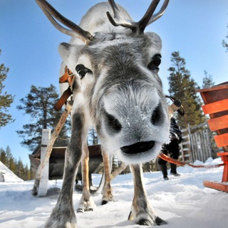 Логотип @xmao_inside - ХМАО инсайд | КАНАЛ