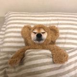 Логотип @xmingbox - xmingbox