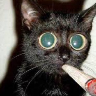 Логотип @xmzjsjwnnwnw - ефак еонтюУ