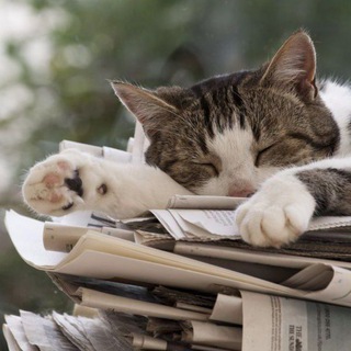 Логотип @xobostushki - Хобости