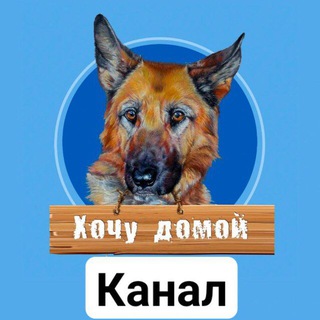 Логотип @xohydomoikhv - Хочу домой Хабаровск !!!
