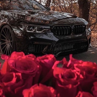 Логотип @xoplaylistt - 𝕩𝕠𝕡𝕝𝕒𝕪𝕝𝕚𝕤𝕥