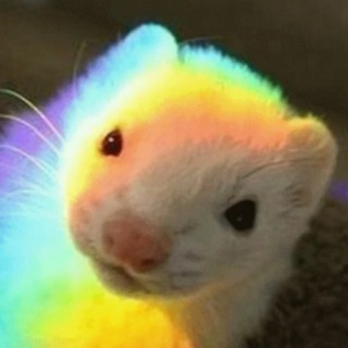 Логотип @xorek_chat - ПРОМО ОТ ХОРЬКА Chat