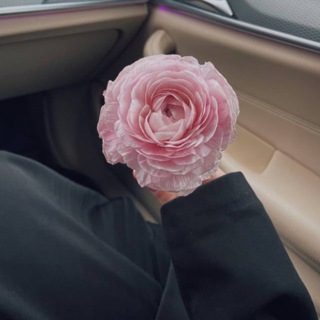 Логотип @xranimoe - 𝐡𝐫𝐚𝐧𝐢𝐦𝐨𝐞’