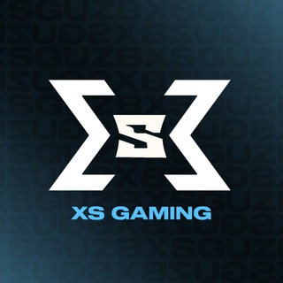 Логотип @xsgamingg - XS GAMING