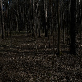 Логотип @xtohb - Нервный редкий смех