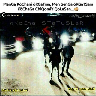 Логотип @xuligan_bezorilarr - 🤟_KUCHA_BEZORILARI