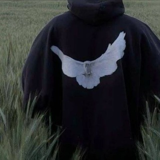 Логотип @xv3ezk - 🙏🏿