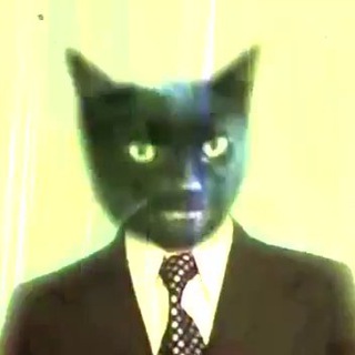 Логотип @xvostvilyaet - КотуПодХвост 🐾