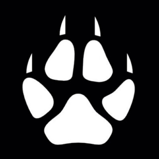 Логотип @xwolfmusicx - x Wolf Music x