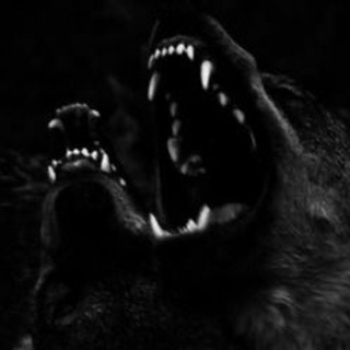 Логотип @xxlovers_grp - ххловерс.