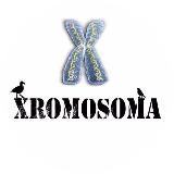 Логотип @xxroma - XROMOSOMA