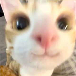 Логотип @xxxaanny - некий канал