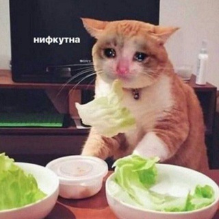 Логотип @xxxmon23xxx - Вкусности/Не_вкусности