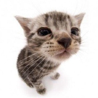 Логотип @xxxxxpromo - xxx promo