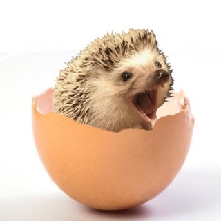 Логотип @xxxxxxxxxxxxxxxxqqqqqq - diaxqwer