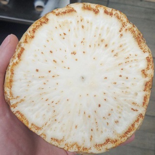 Логотип @xyd_terror - Спілка Художнього Тероризму імені Прикольної Хуйні