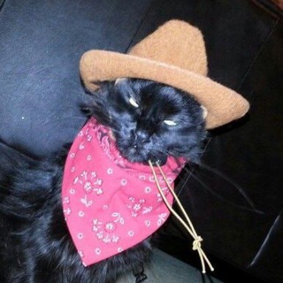 Логотип @xynoxks - Xynoxksss