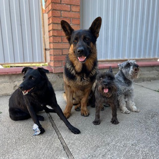 Логотип @y6_tyuuji - my love💋