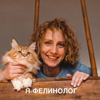 Логотип @ya_felinolog - Я - Фелинолог