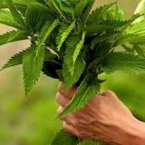 Логотип @ya_privetstvuyu - Я тебя, во-первых, приветствую!