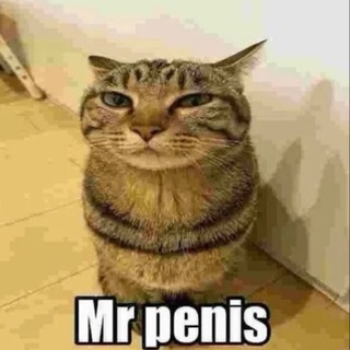 Логотип @ya_roundzz - roundzz govorilka