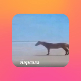 Логотип @ya_smotryu_tiktok - я смотрю тик ток