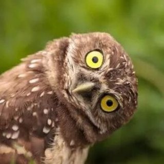 Логотип @ya_vsee_znauuu - Я ВСЕ ЗНАЮ 🤷‍♀️