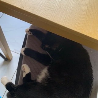 Логотип @yadavnoumer - ..