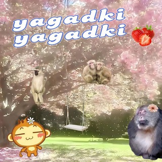 Логотип @yagadki - Ягадки ягадки 🌸🫐