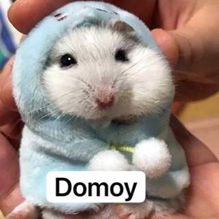 Логотип @yagarantdomoy - 𝓓𝓸𝓶𝓸𝔂
