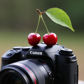 Логотип @yagodkin_d - ОБЪЕКТИВ ЯГОДКИНА