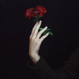 Логотип @yakitab - Amor et angor.