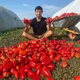 Яков Огородник