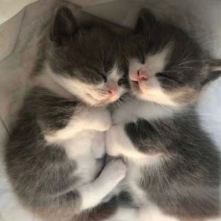 Логотип @yalublu_you - люблю