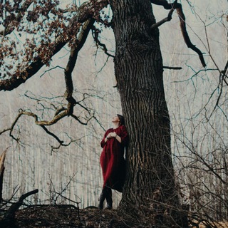 Логотип @yanapolly_discussion - Обсуждения о жизни