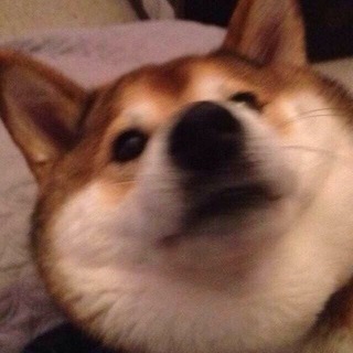 Логотип @yandexmaps - Yandex Maps