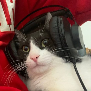 Логотип @yanetsmusic - YANETS