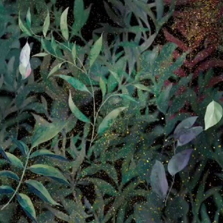 Логотип @yanetta_love2 - Нежное магическое 🌿18+