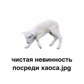 Логотип @yanevestaaa - не vesta