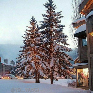 Логотип @yangi_yil_archasi_o2 - ☃️ᎽᏘᏁᎶI ᎽIL ᎦHUKUHI 🌲❄️