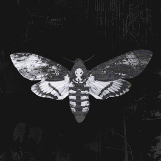 Логотип @yanh_hyung - 08HWO 18+