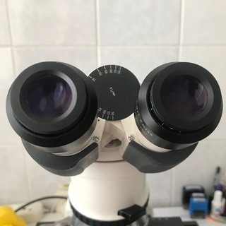 Логотип @yannasamsonova - в окуляре микроскопа