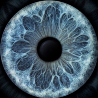 Логотип @yaodnaizvas - odnaizvas