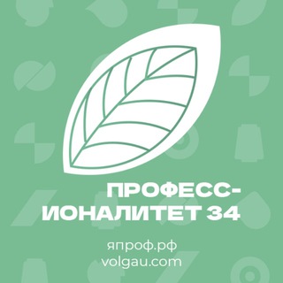 Логотип @yaprof34 - Профессионалитет 34